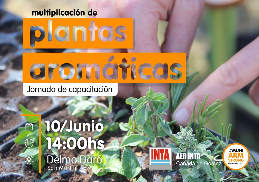 multiplicacion aromaticas 2019 ok
