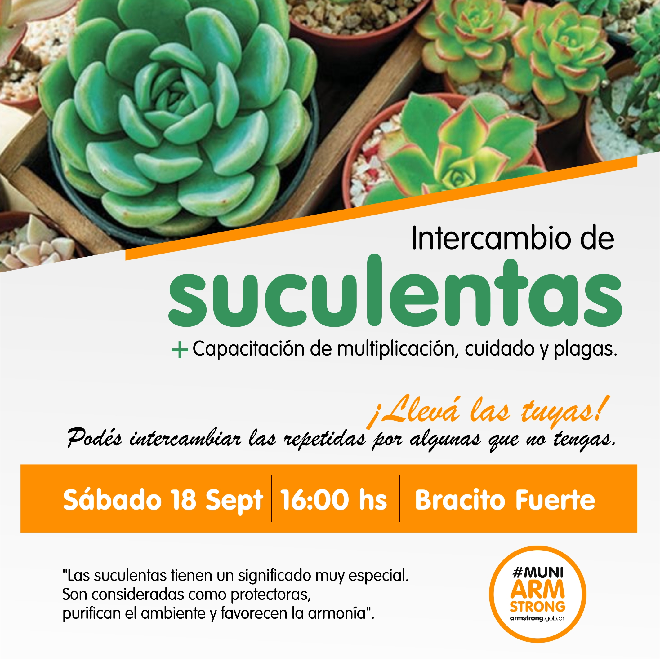 suculentas intercambio