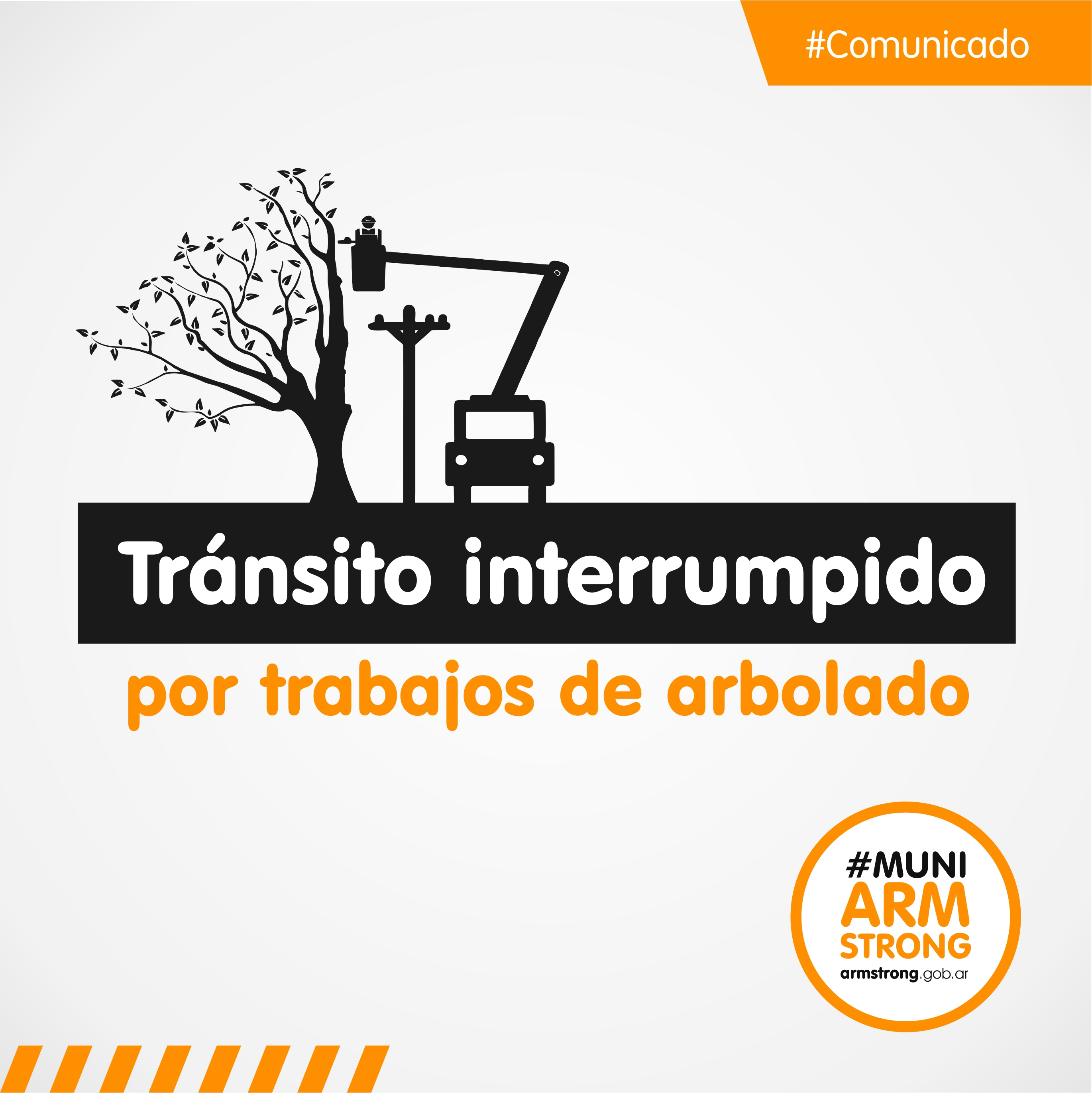 transito cortado por trabajos arbolado