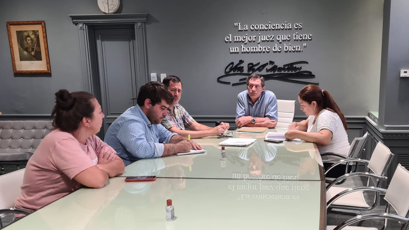 apertura lic