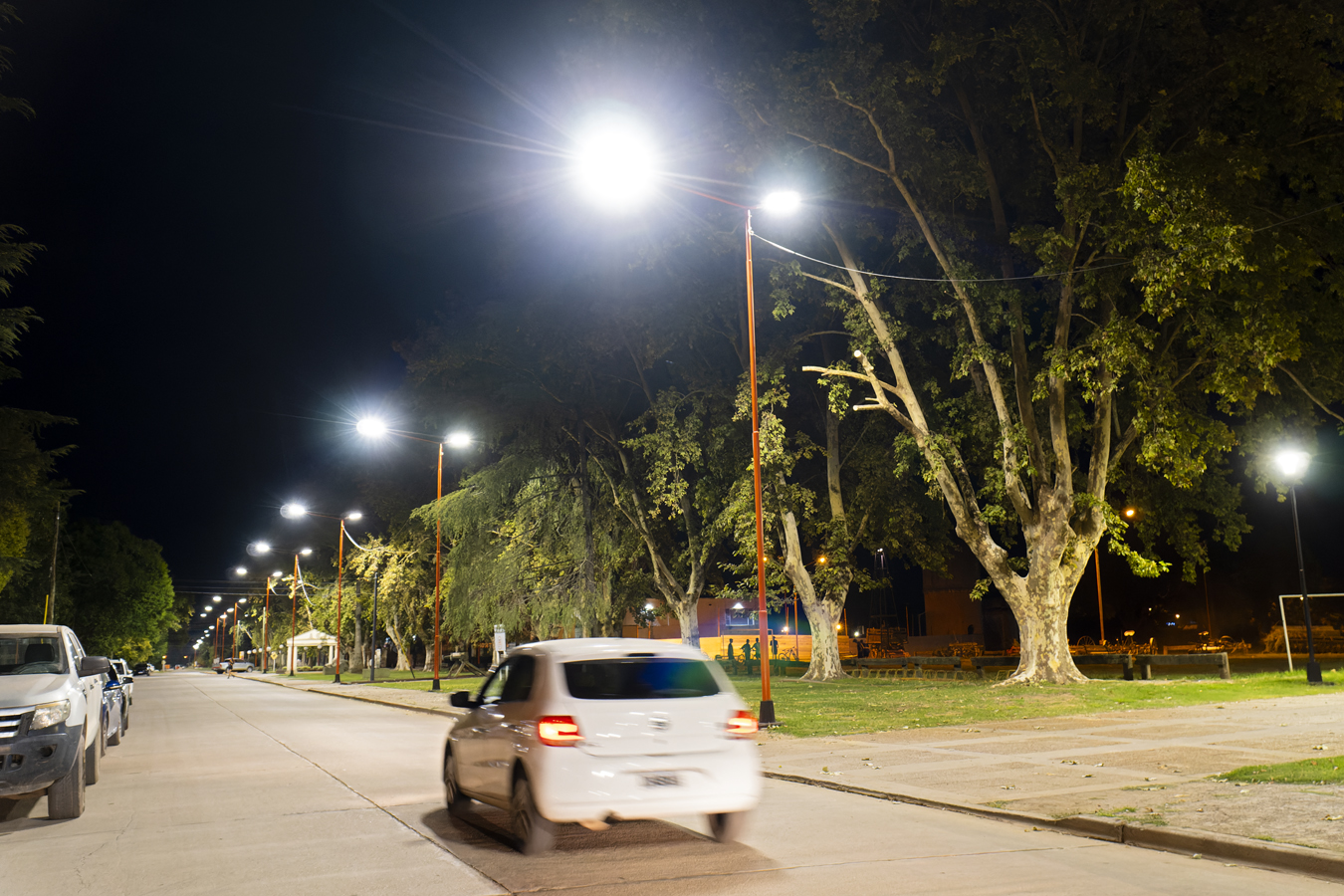 iluminacion led tortugas 2