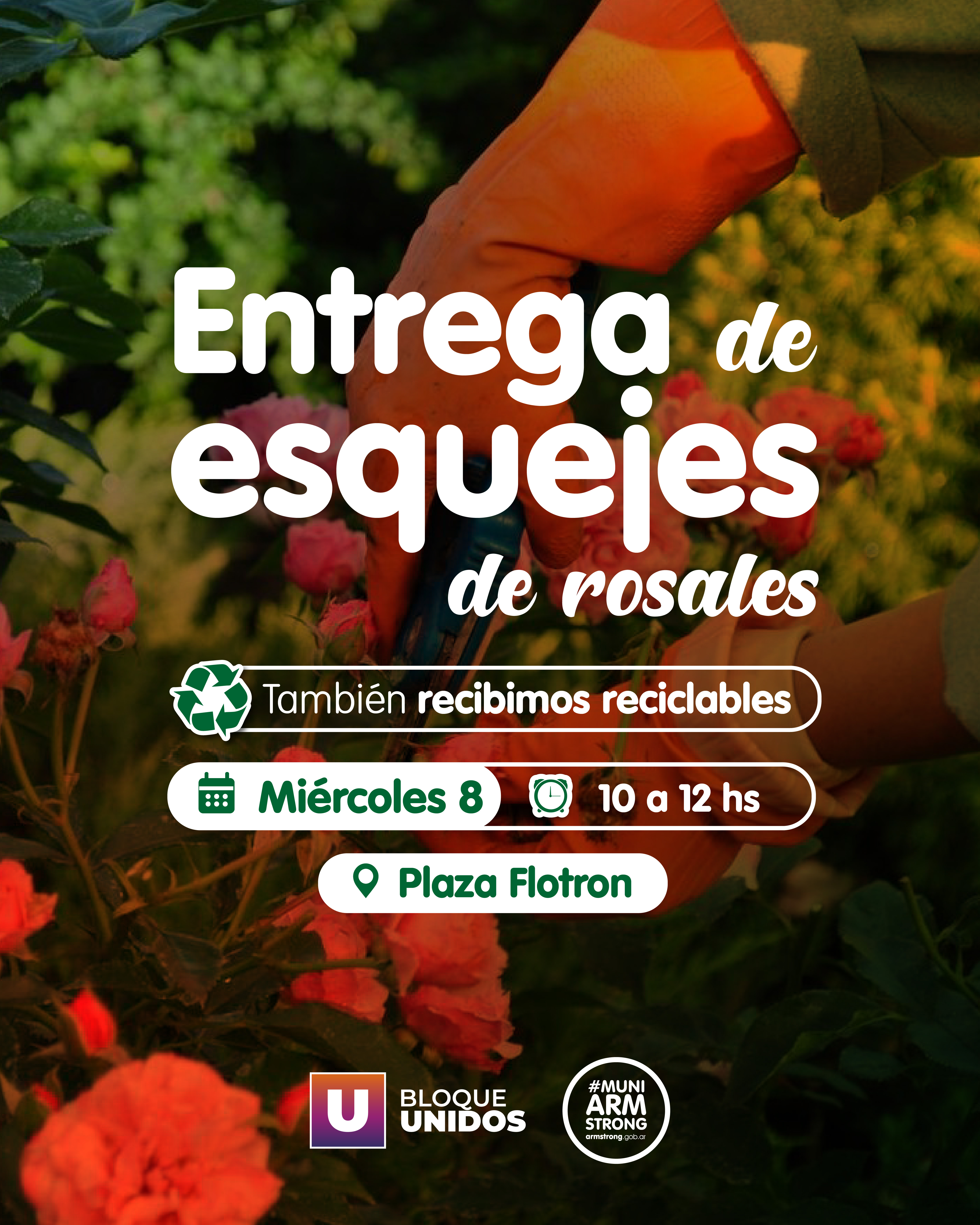 Entrega de esquejes de rosales