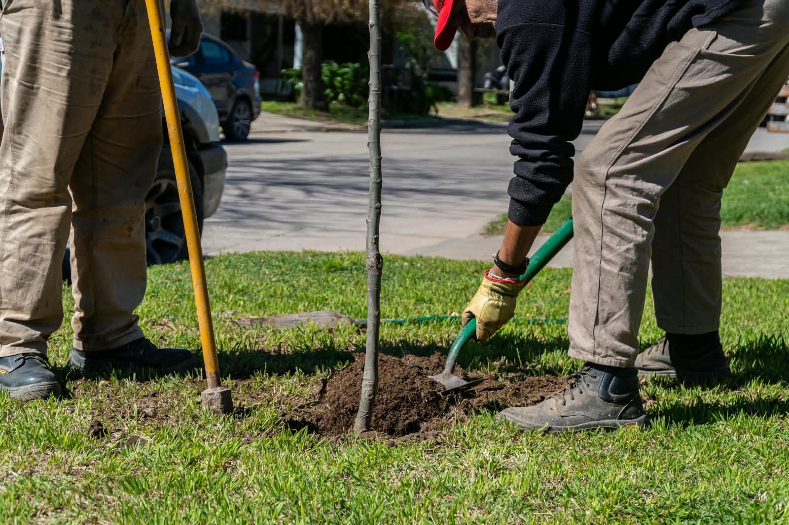 Temporada de plantaciones 